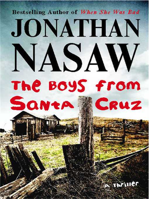 Cover image for The Boys from Santa Cruz